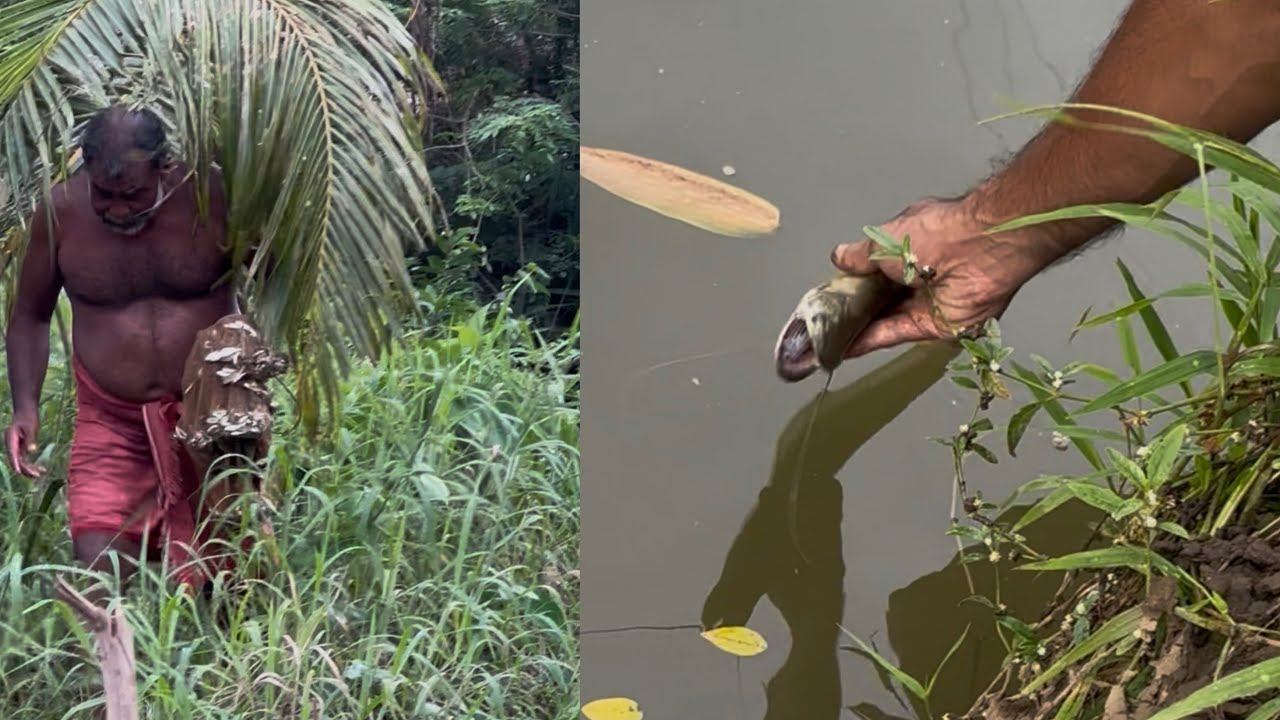 വലയും കോരുവലയും വെച്ച് മീൻപിടുത്തം cast net fishing 