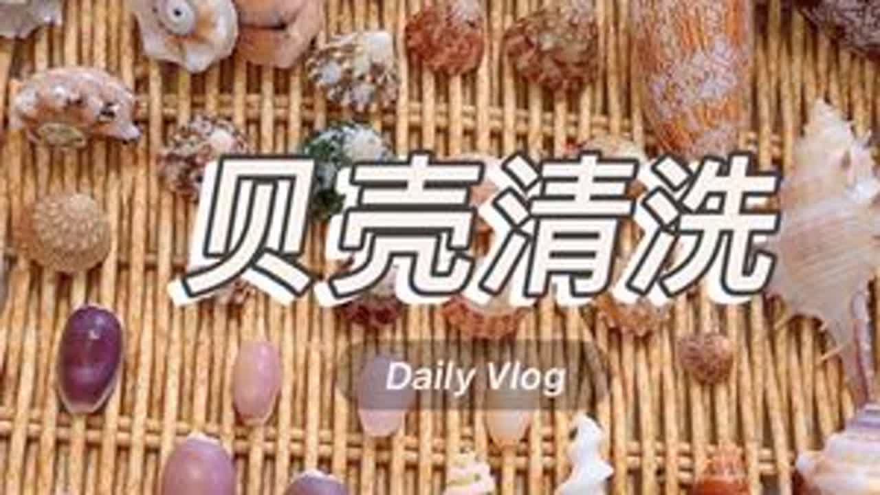 贝壳清洗 滋啦滋啦的解压时间又又又到啦，可能最近洗贝壳视频会比捡贝壳视频要多点，老规矩，同款草酸兑一半水再使用，通风处操作切勿接触皮肤
