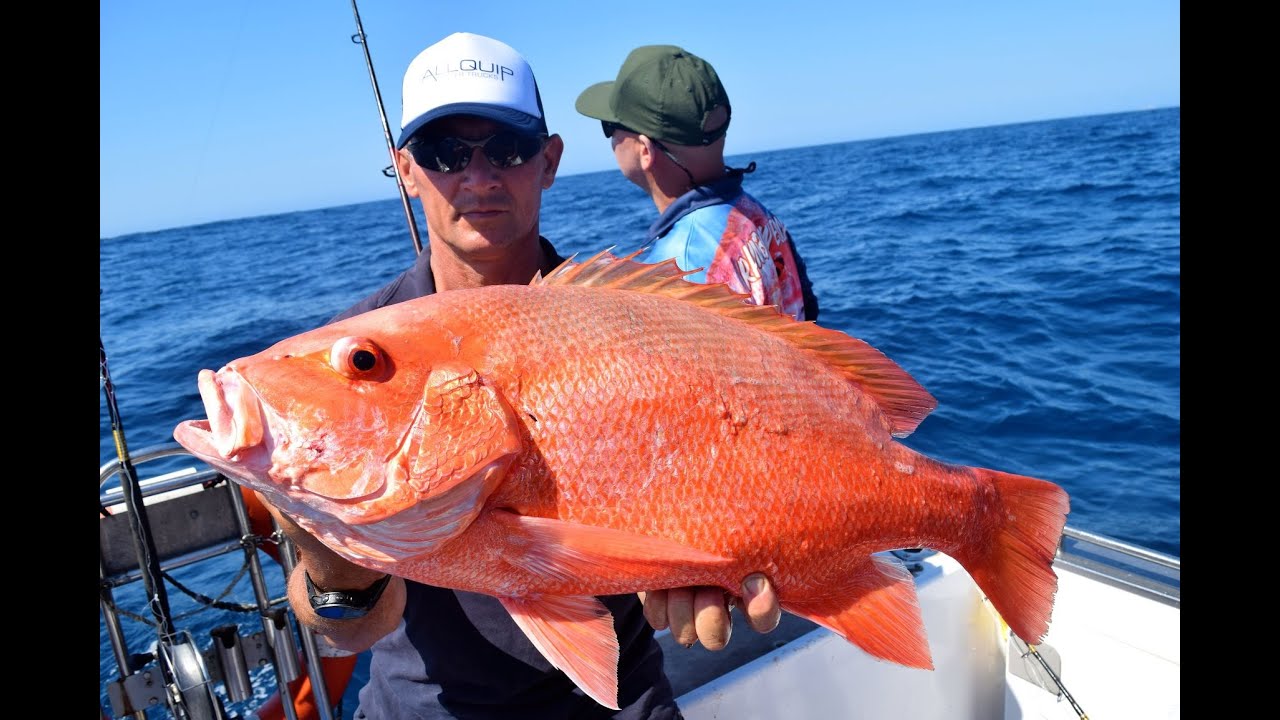 Big Grouper/Cod, Nanny's. Great fishing on Rainbow Escape