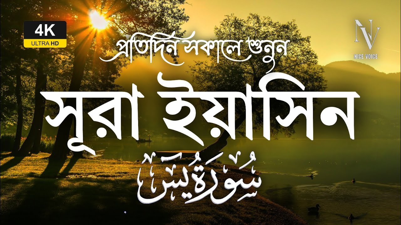 প্রতিদিন সকালে শুনুন সূরা ইয়াসিন | سورة يس | Listen Surah Yaseen Morning | Alaa Aqe