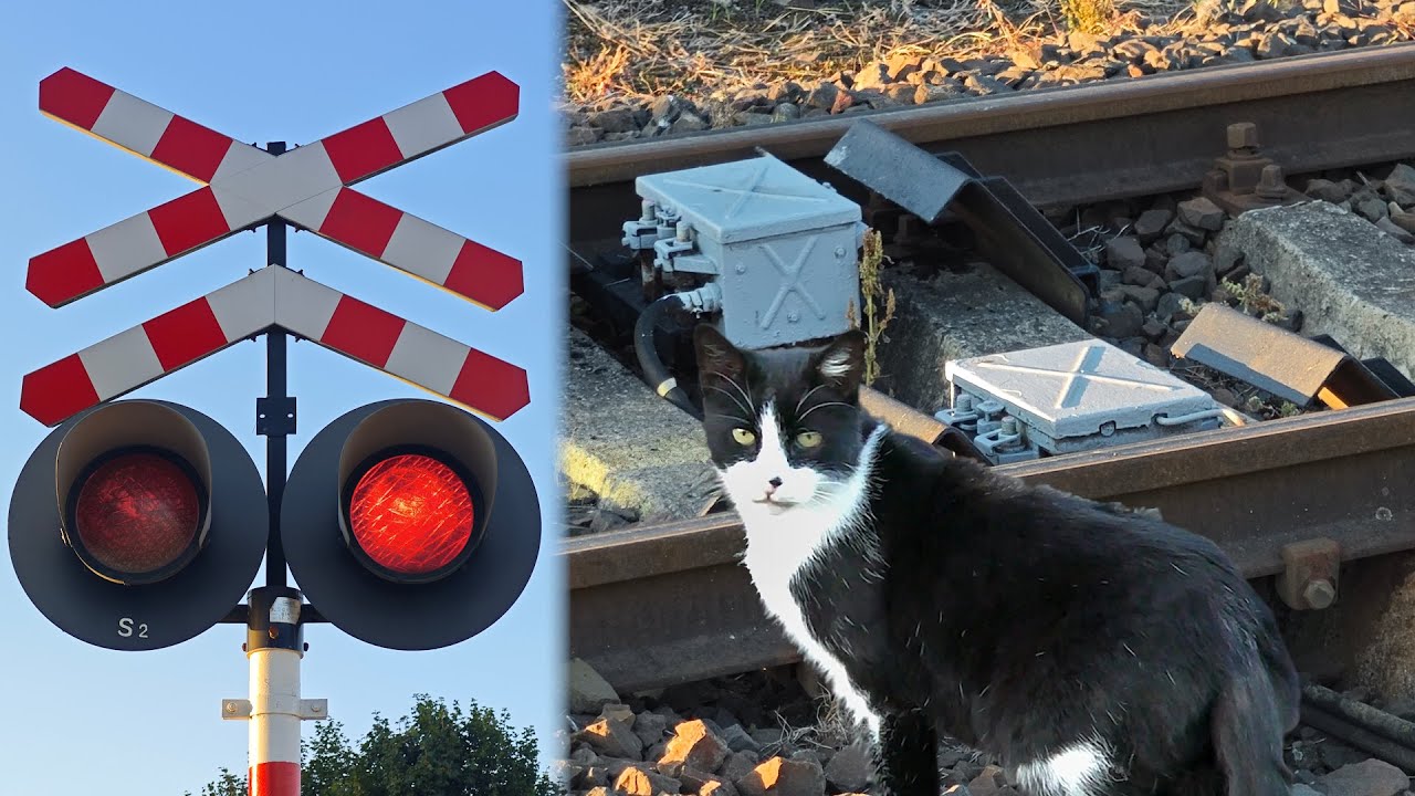 Mechaniczne czujniki na Przejeździe Kolejowym w Łupowie | Polish railroad crossing