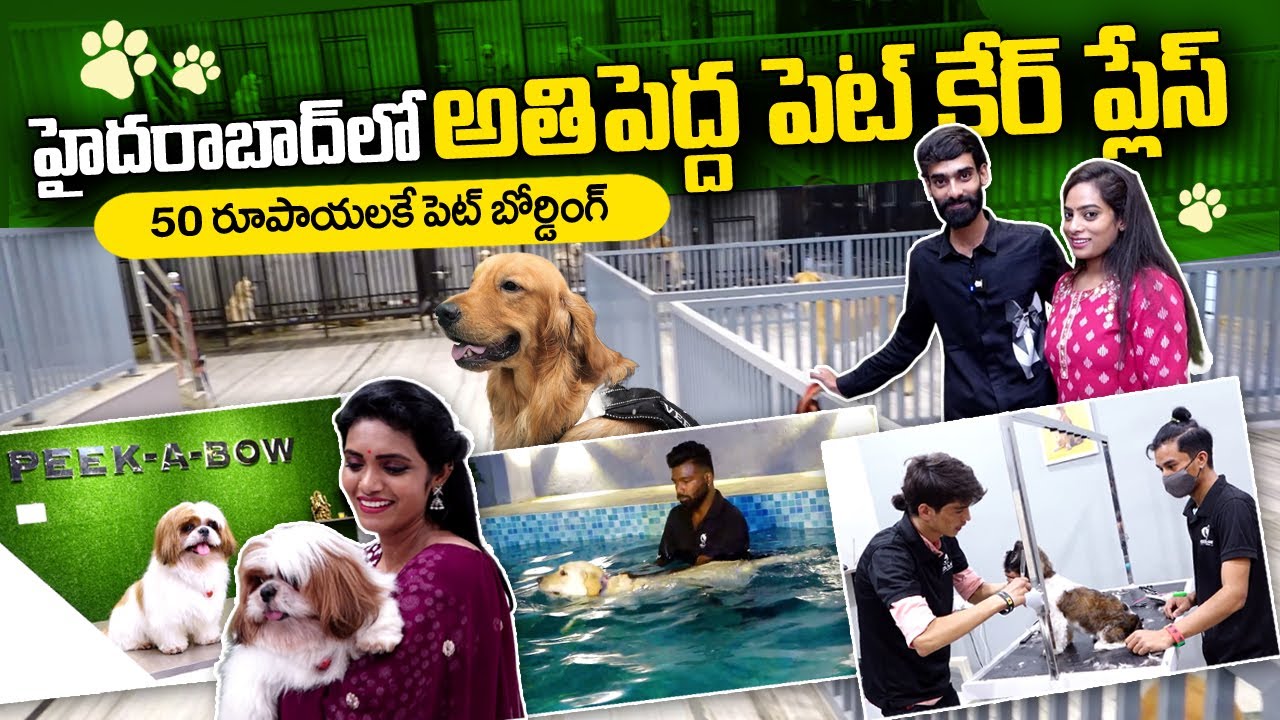 PEEK A BOW | Biggest Pet Care Place in Hyderabad | Dogs Kennel Boarding | Hyderabad Pet Shop