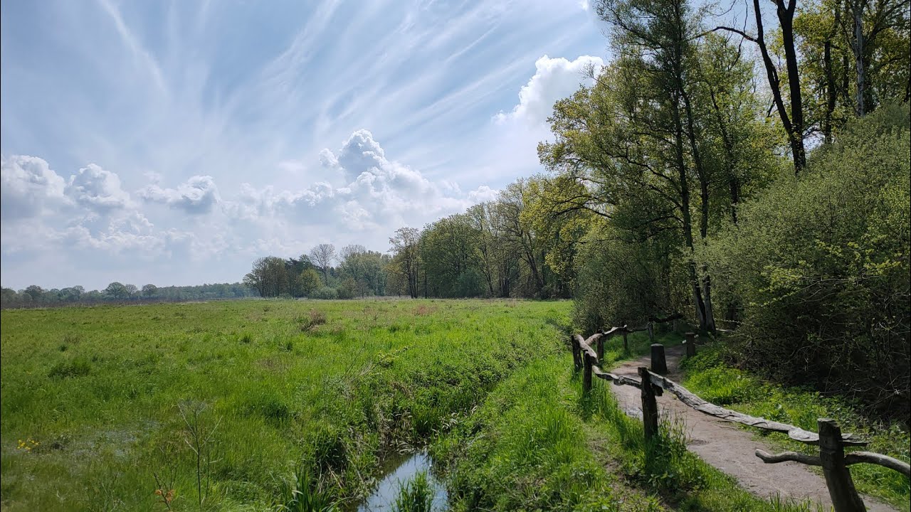 Hoogstraten - 8km - Smokkelroute (9/10)