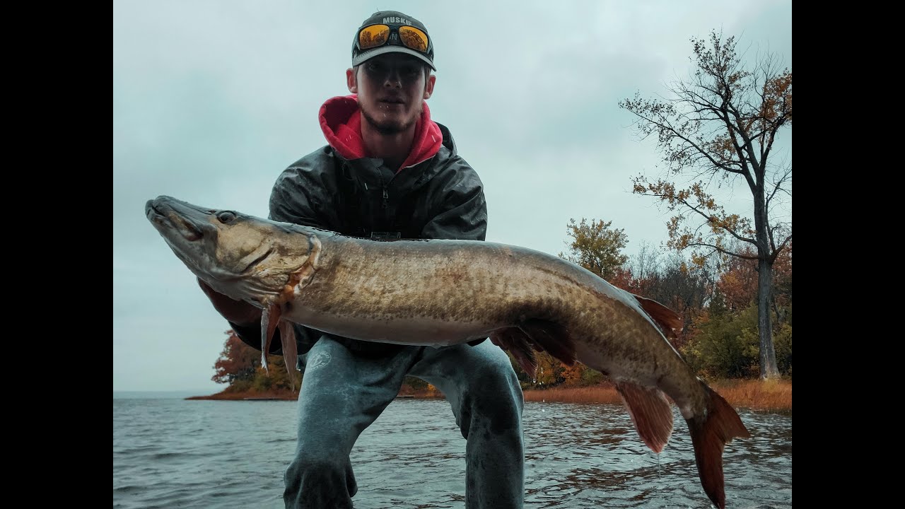 20 Minute Musky! | BIG MUSKY EATS AT MY FEET (Montreal)