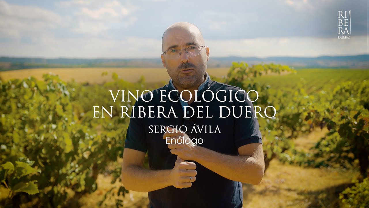 Sergio Ávila - Vino ecológico en Ribera del Duero
