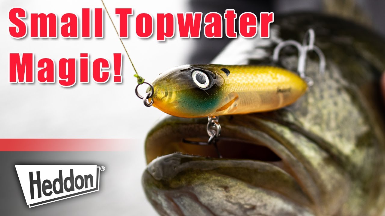 Jason Christie's Downsize Topwater Strategy! (Heddon Super Spook Boyo)
