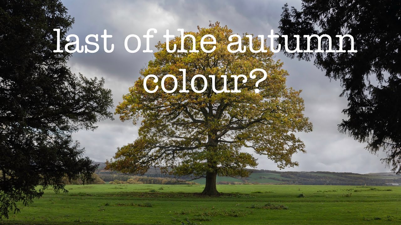 Autumn landscape photography
