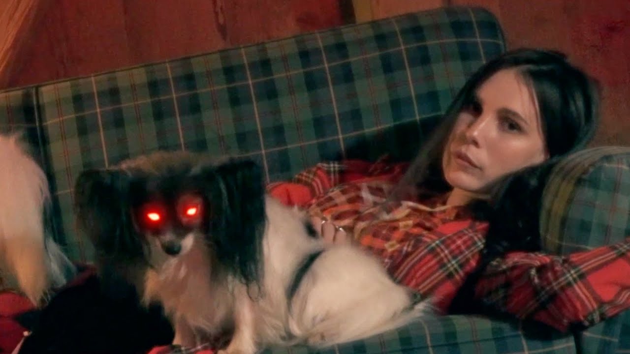 Skott - Bloodhound (Official Video)