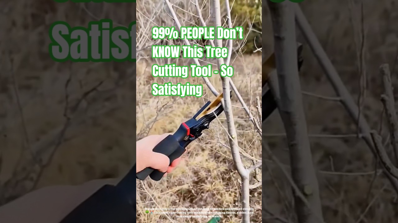 99% PEOPLE Don&rsquo;t KNOW This Tree Cutting Tool &ndash; So Satisfying #gardeningtips #farmingtips #diy #short