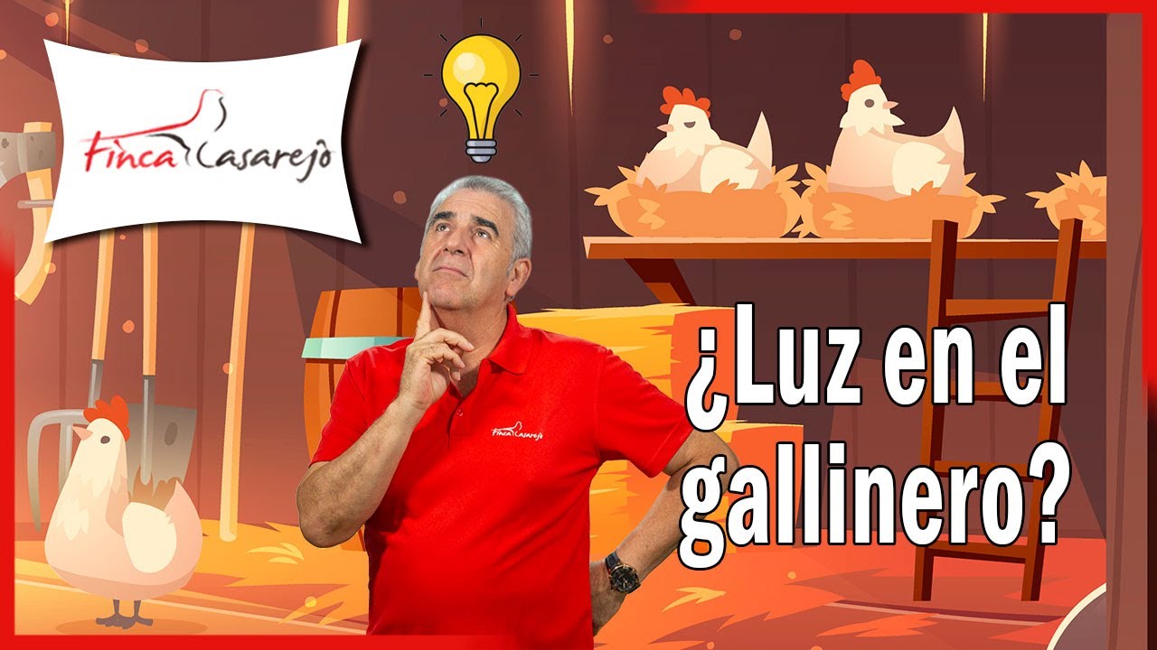 💡 ¿Debo instalar una LUZ artificial en el GALLINERO? Ventajas vs. Desventajas