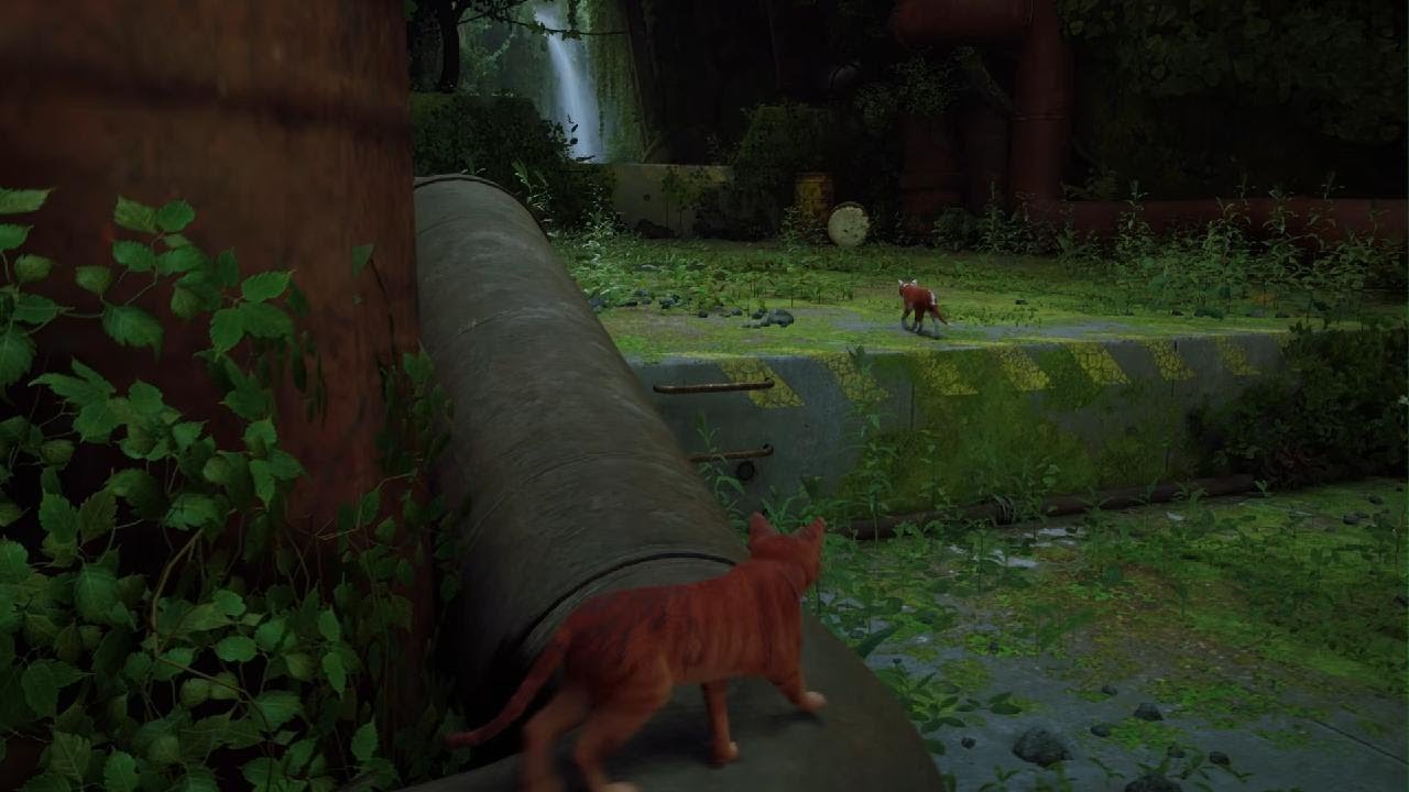 Stray [1] Away from the Litter