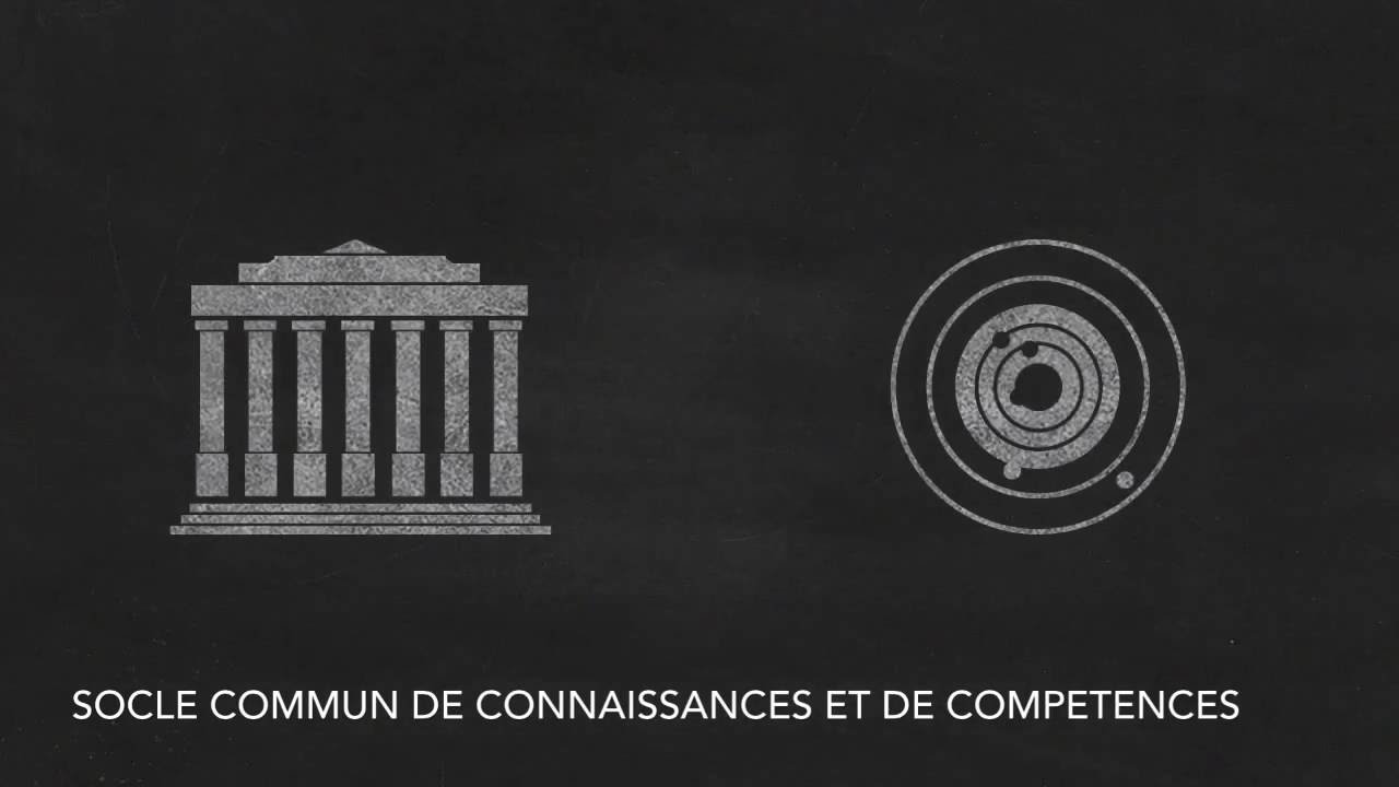 Le nouveau socle commun de connaissances et de comp&eacute;tences