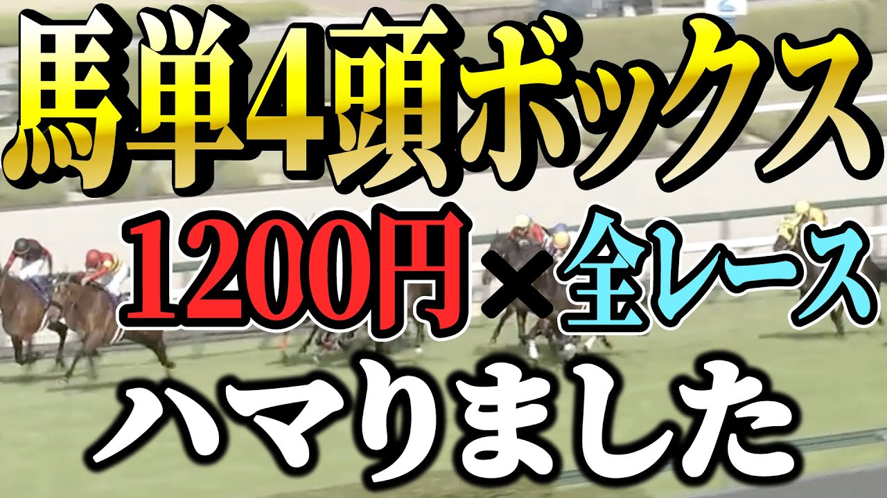 馬単４頭ボックス１２００円×全レースでプラスにできるのかッ！？【競馬実践】