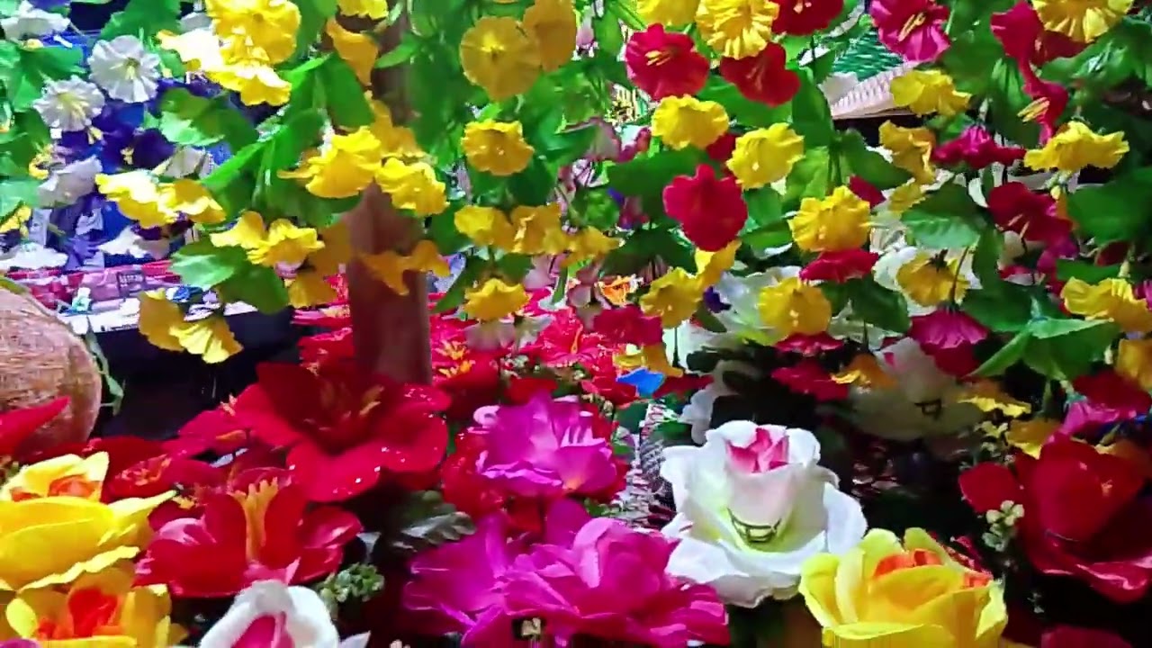 ফুলের রাজ্যে একদিন 🌼beautiful flower 