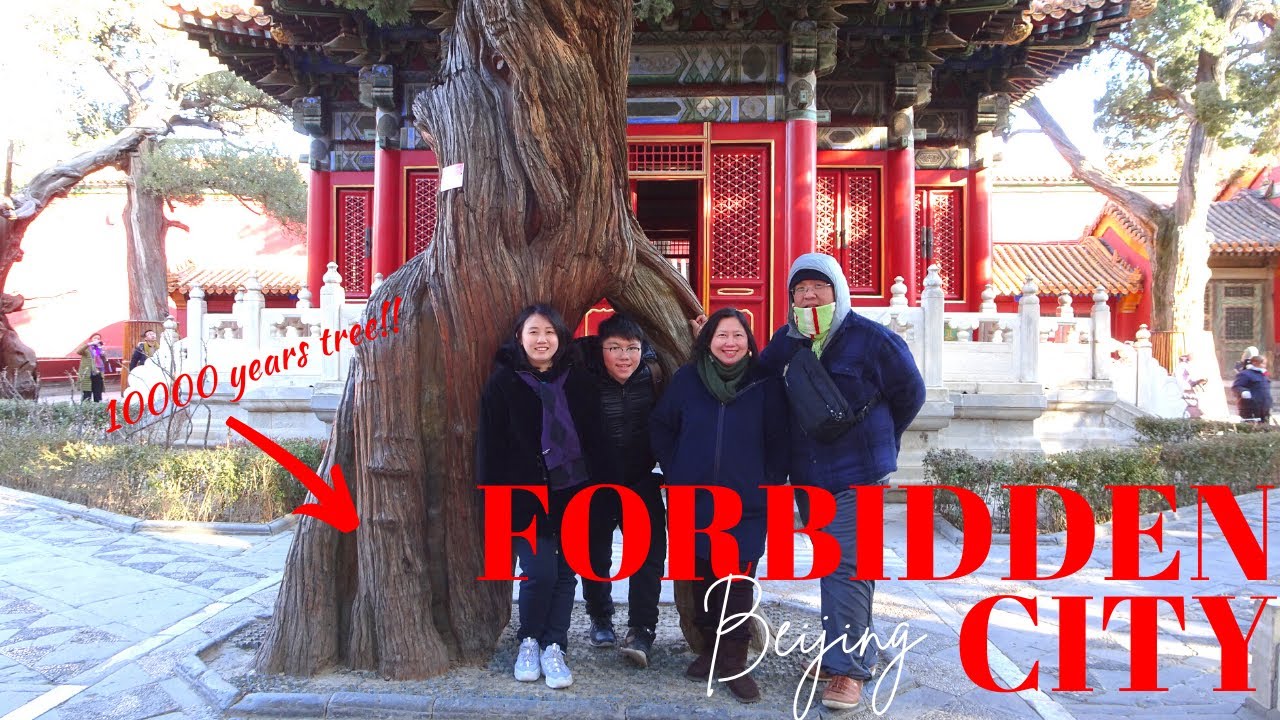 BEIJING TRAVEL GUIDE- FORBIDDEN CITY DOCUMENTARY (PALACE MUSEUM) | CHINA VLOG