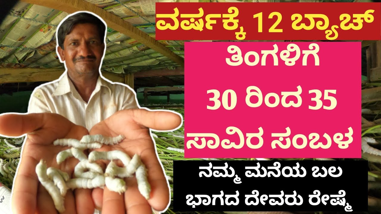 ಒಂದು ಎಕರೆ ಜಾಗ ಇದ್ದು ಈ ರೀತಿಯಾದ ಮನೆಯಲ್ಲಿ ಹುಳುಸಾಕಿದರೆ ಗ್ಯಾರಂಟಿ ತಿಂಗಳಿಗೆ 25 ರಿಂದ 30,000 ಸಂಬಳ ತೆಗೆದುಕೊಳ್ಳ