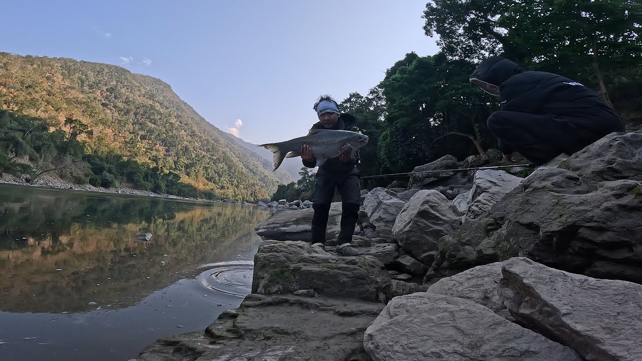 kamle river Mahseer Arunachal pradesh