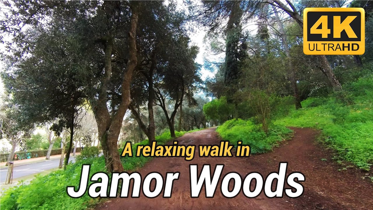 A relaxing walk in Jamor Woods - Portugal 4K ASMR
