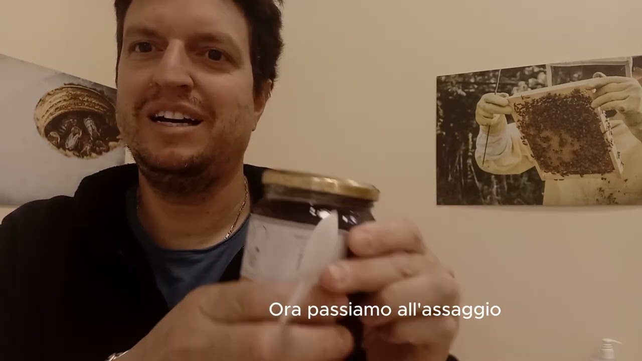 miele di melata di pino