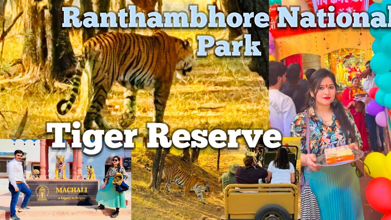 Ranthambhore _tiger reserve || Sawai Madhopur Rajasthan || full videos || Ranthambhore fort