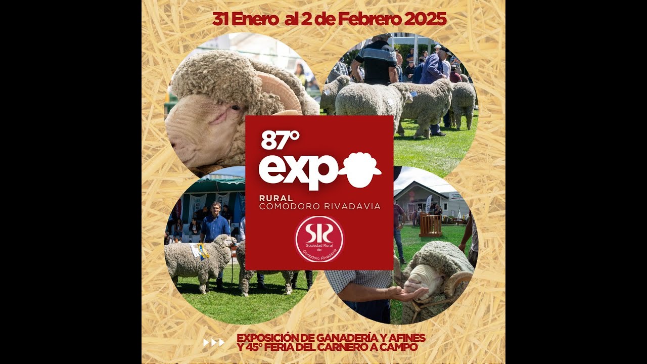 RESUMEN 87 EXPOSICIÓN RURAL 2025.