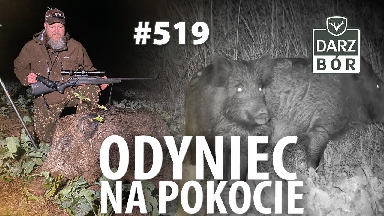 Darz Bór odc  519 „ Z termo i nokto za gamratem podczas „lochania”