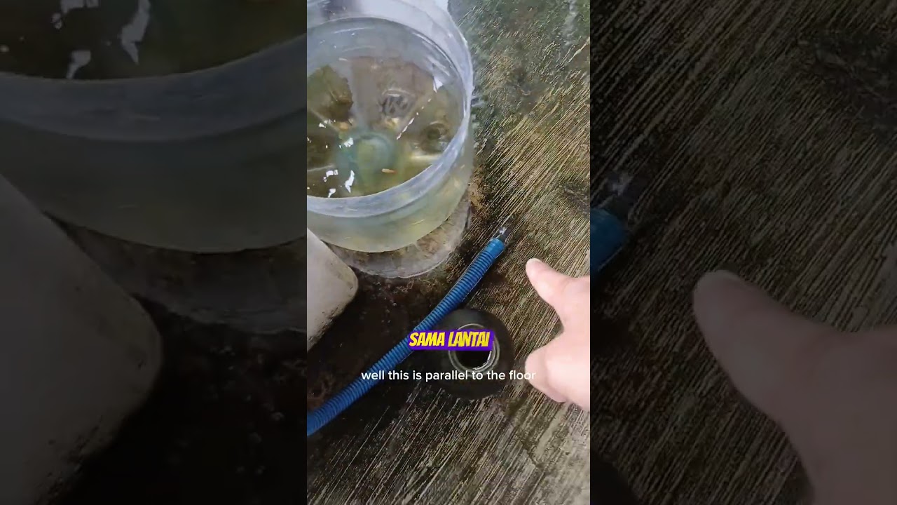 CARA SIFON WADAH IKAN YANG POSISINYA SEJAJAR DENGAN LANTAI