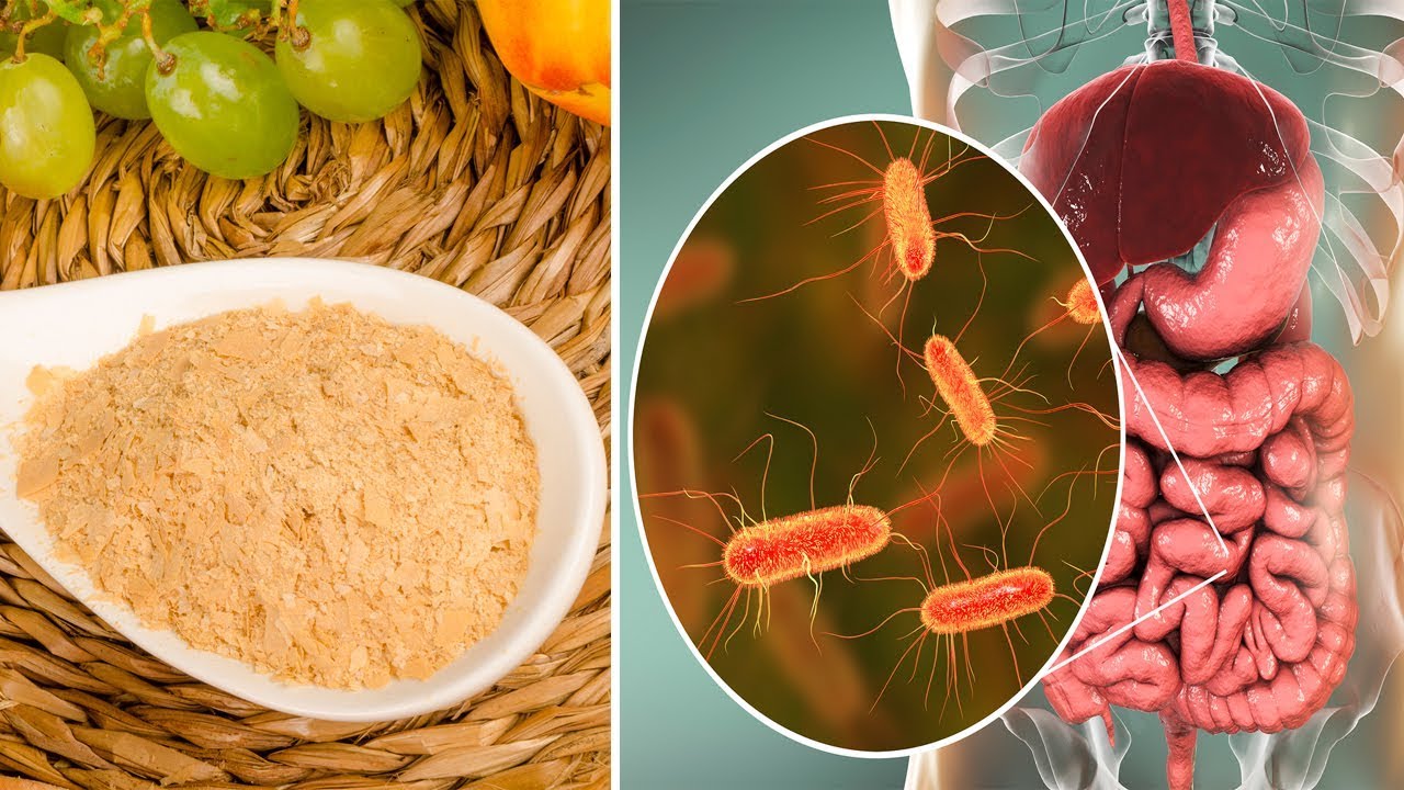 6 Proven Medicinal Benefits of Brewer&rsquo;s Yeast