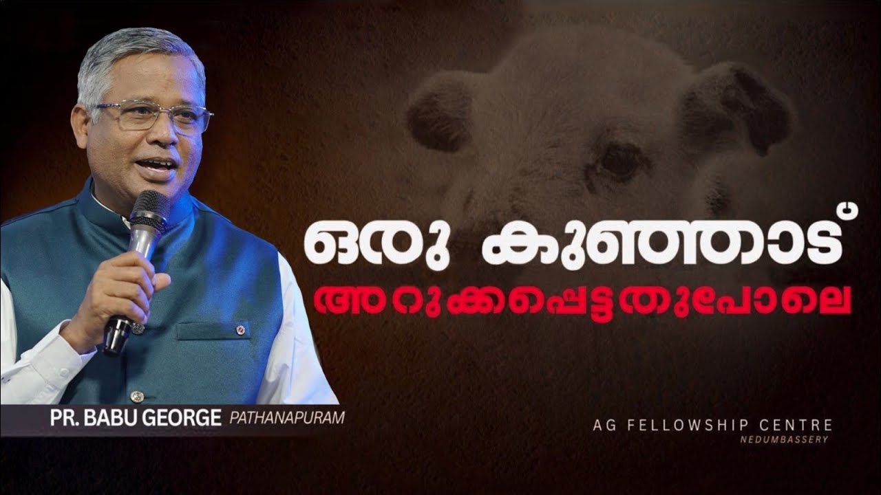 കുഞ്ഞാട് അറുക്കപ്പെട്ട 12 വചനങ്ങൾ ബൈബിളിലുണ്ട്.അത് നമ്മെ പഠിപ്പിക്കുന്ന പാഠങ്ങളേവ?.Pr  Babu George 