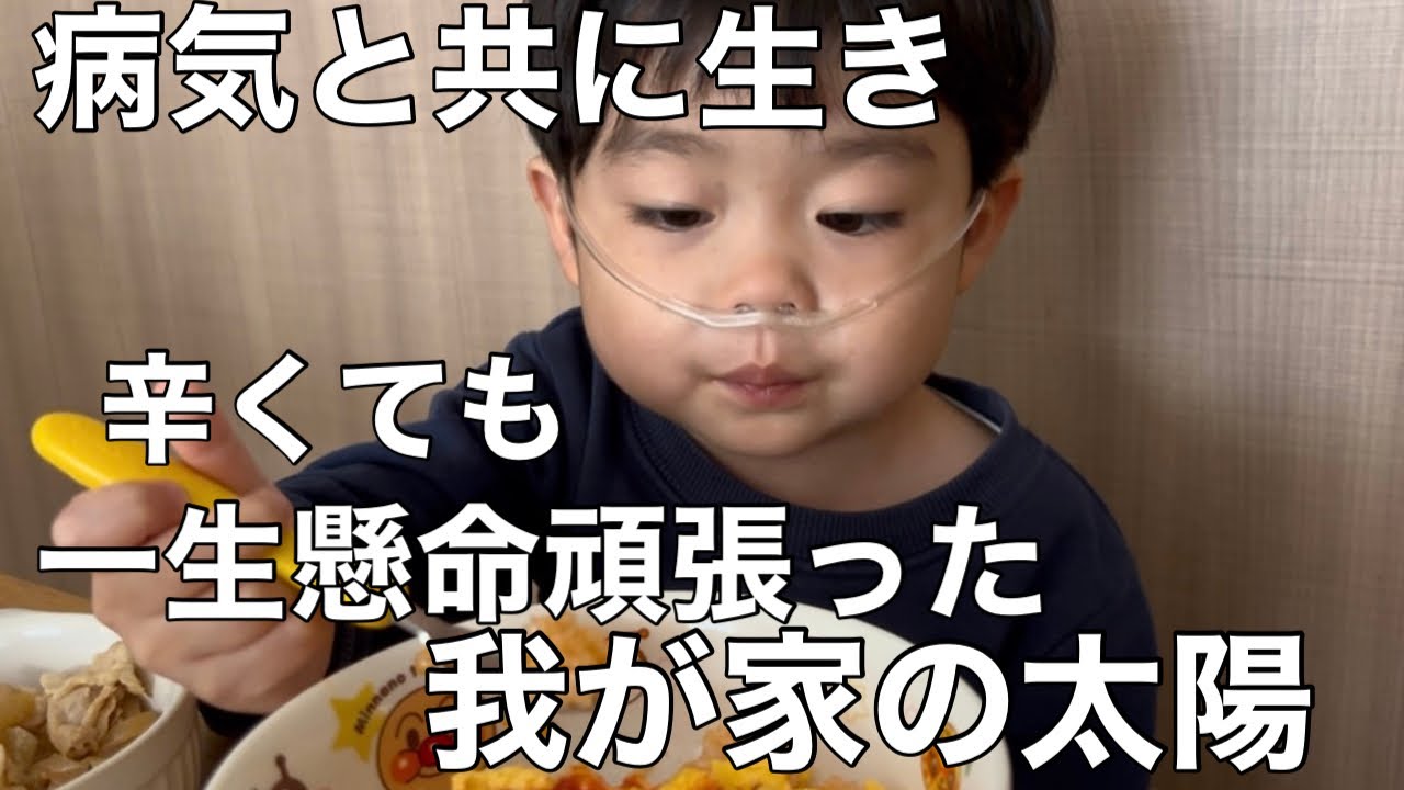 【心臓病4歳】病気と共に生き変化して来た食に涙