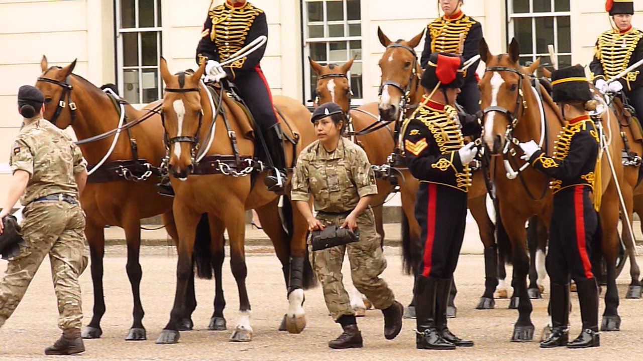 The King's Troop Royal Horse Artillery
