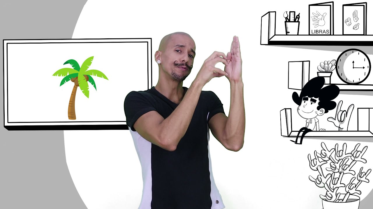 Gramatica da Libras: Classificaador e Descrição Imagética
