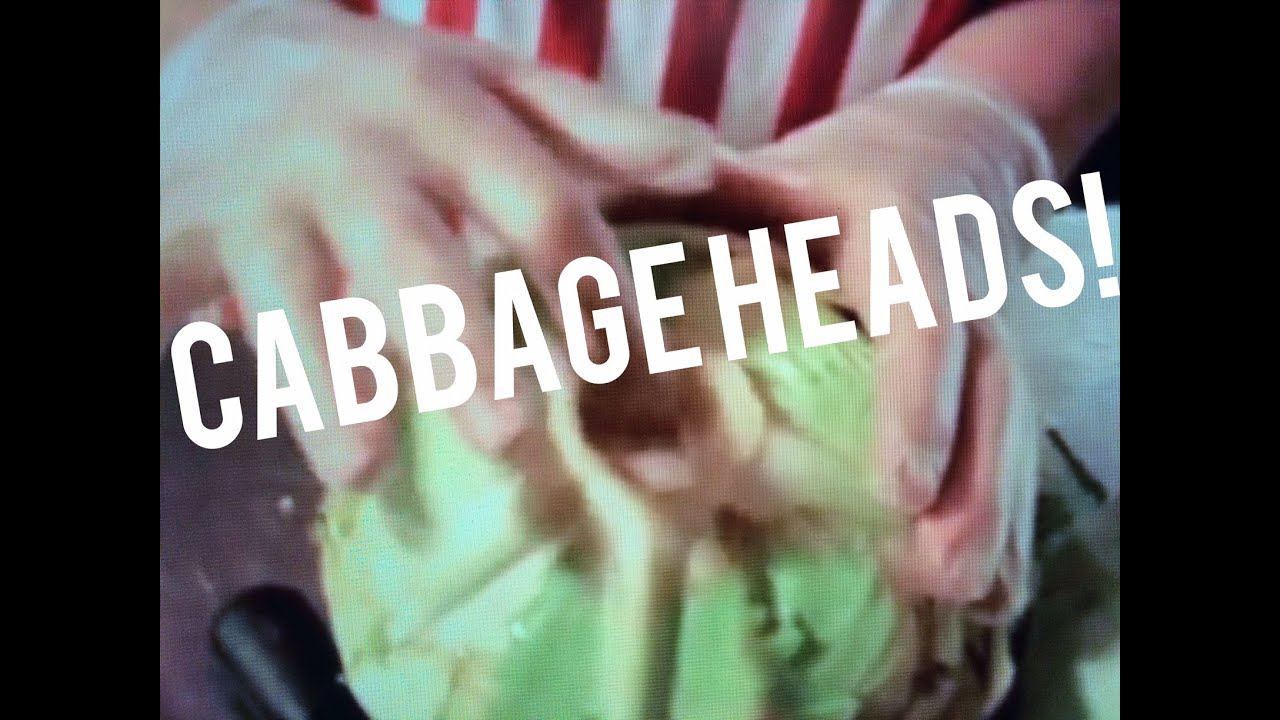 Cabbage Recipes Sour Heads Crock Recipe, Probiotic Drink, Austrian Chef