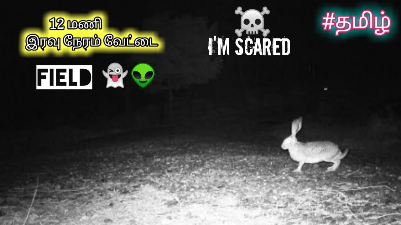 Night Hunting at 12 Am 😲|@ridingvloggertamil