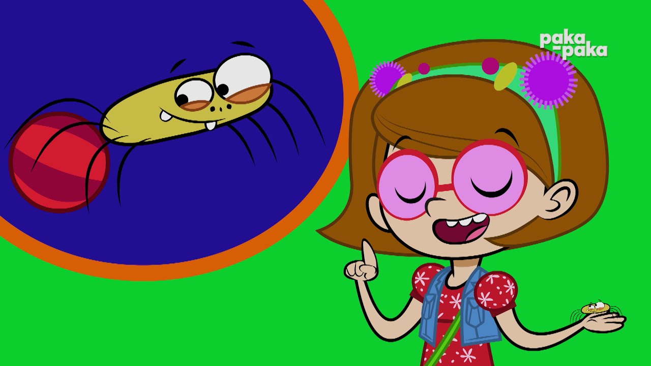 🔍Detectives de Animales: ARAÑA 🕷️ | Series infantiles | PAKAPAKA