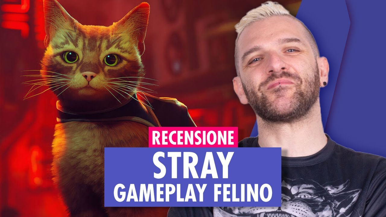 FELINO ANCHE NEL GAMEPLAY | RECENSIONE STRAY
