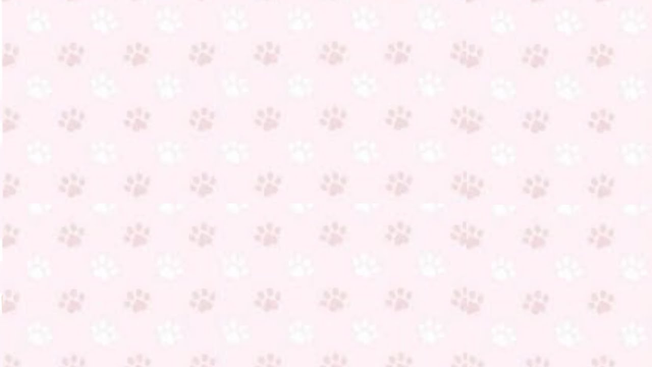 U＾ェ＾Ucutecore kawaii petre/pet regression stimboard/moodboard 【SRS】[´・ω・`]