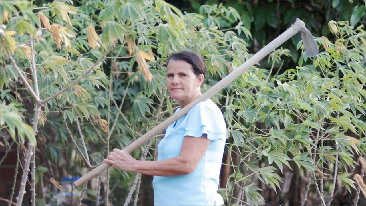 Vidas da Terra - Luta e Memória no Rural