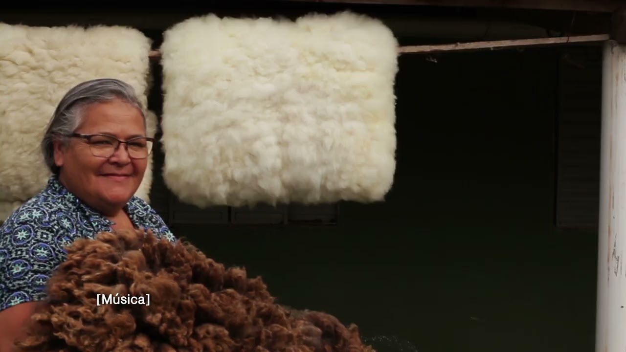 Tecendo Histórias, a arte de viver da lã - filme documental versão 50 min