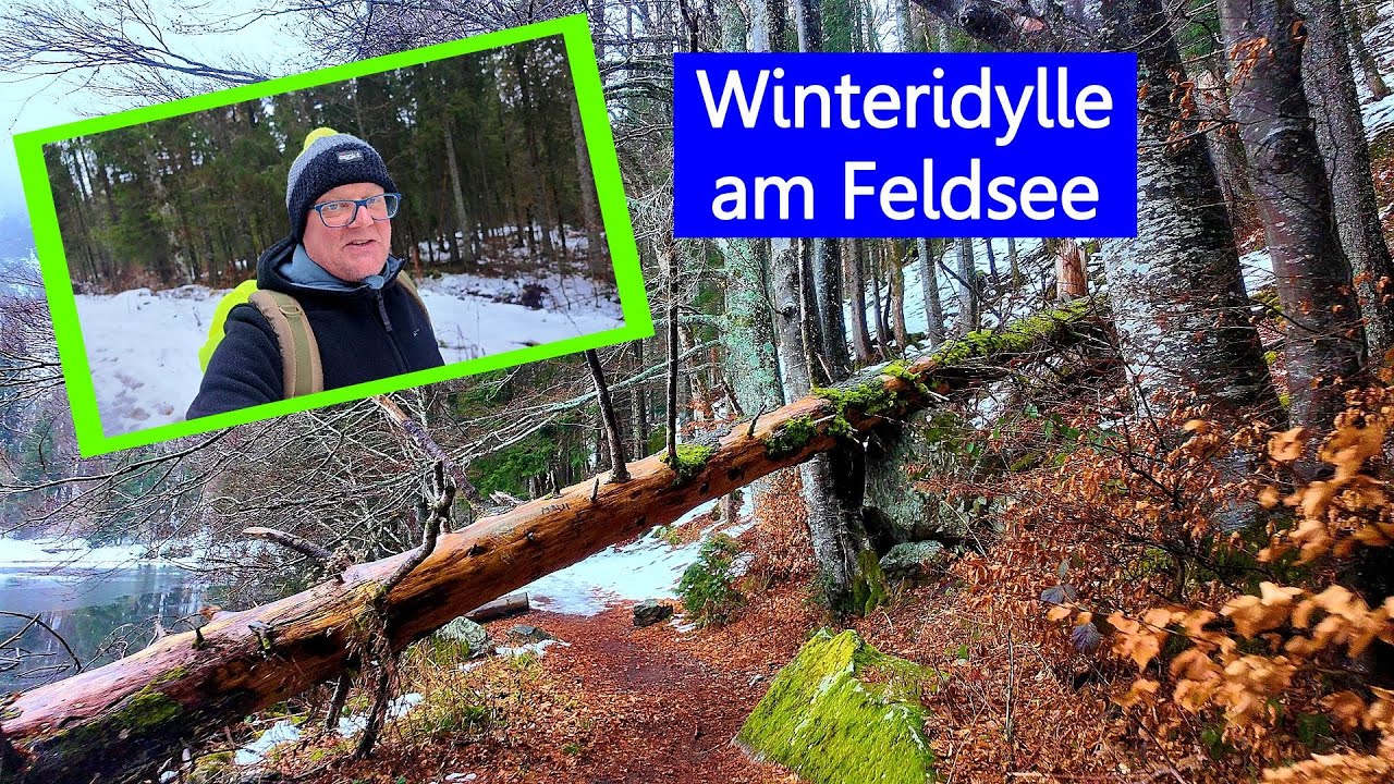 Ruhige Winterwanderung im Südschwarzwald von Feldberg-Bärental zum Feldsee 👀❄☔❄