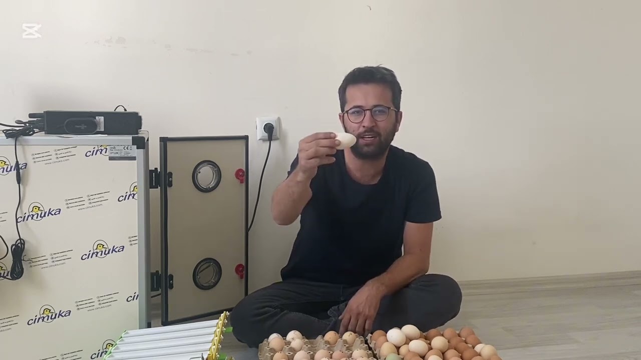 ÇİMUKA kuluçka makinesi yumurta seçimi ve makine tanıtımı