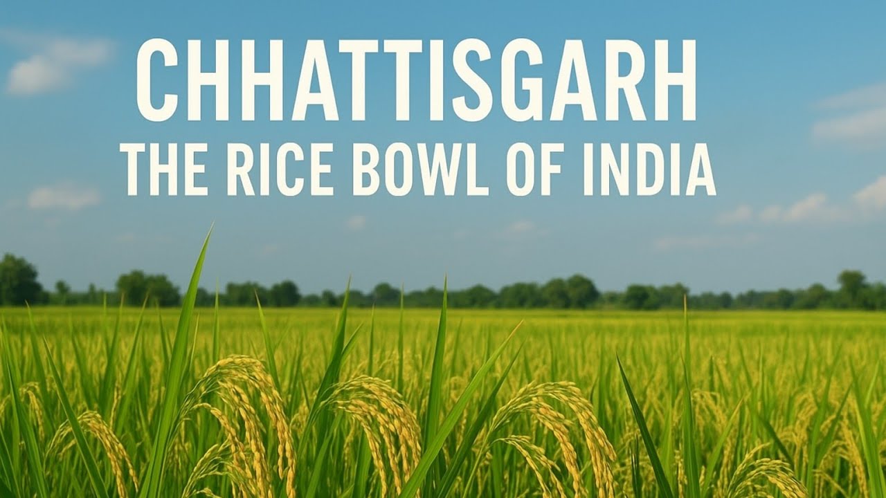 Chattisgarh: The Rice Bowl Of India