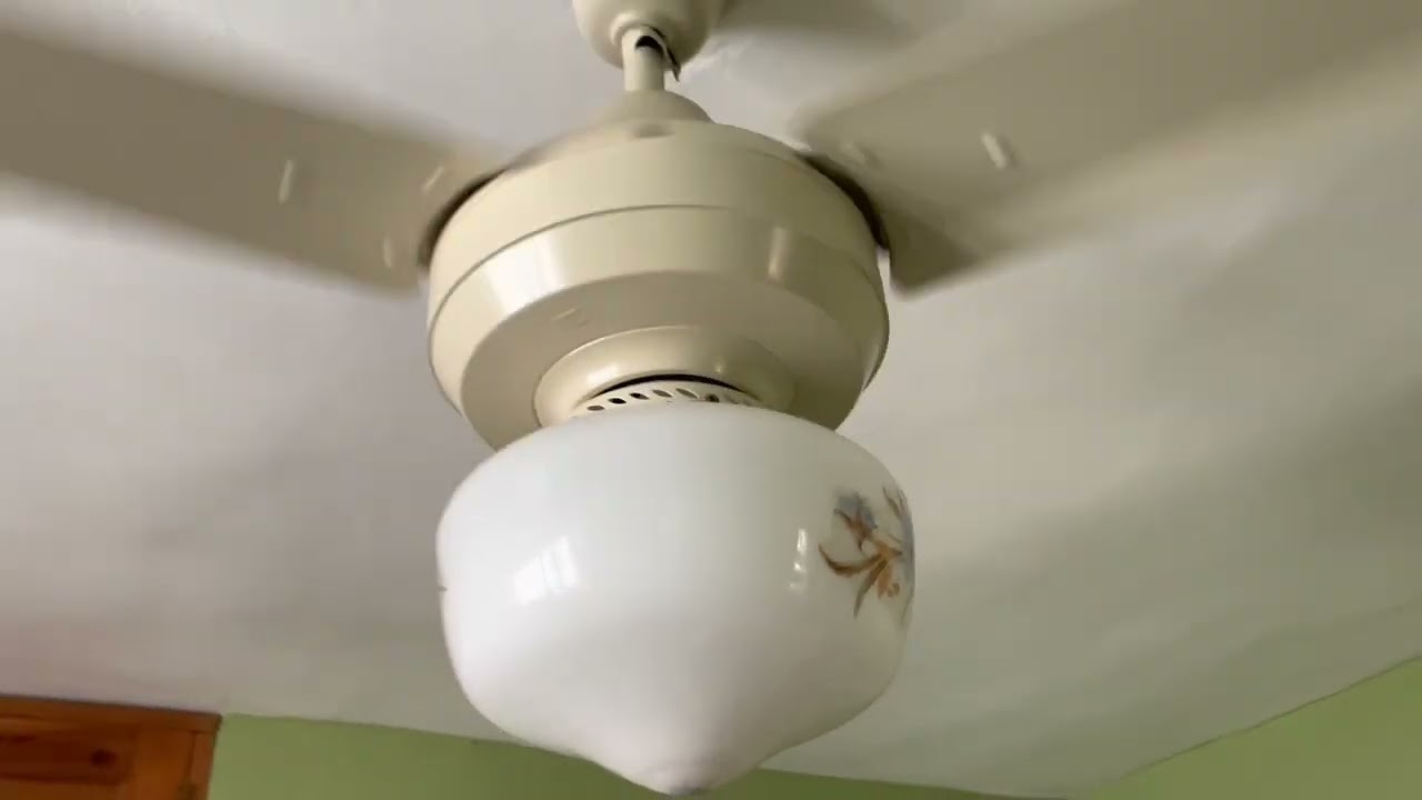 Ceiling Fans & Portable Fans At My Grandparents House (Winter 2022 Update)