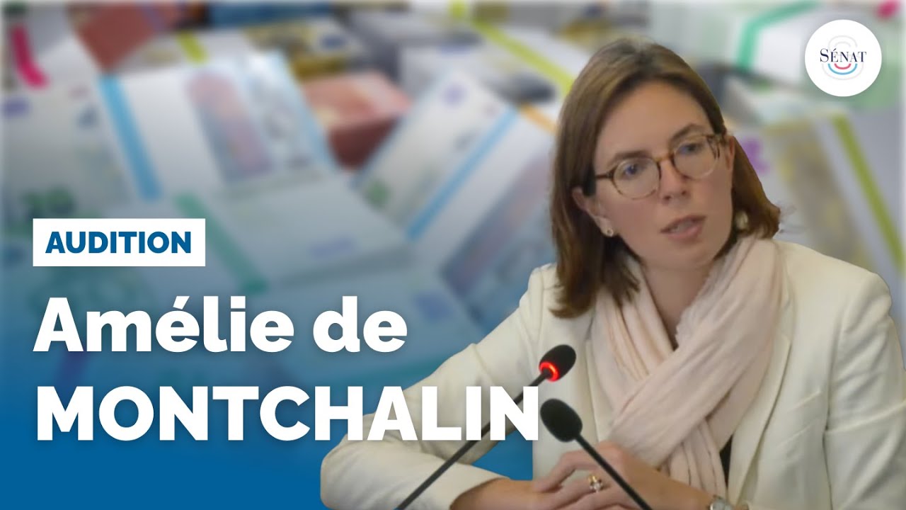 Délinquance financière : audition d'Amélie de Montchalin