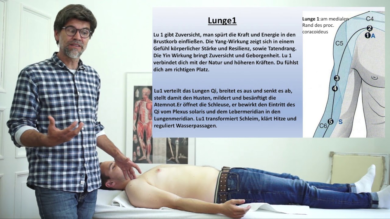 Wissensessenzen LUNGE Lungenmeridian Armlinie
