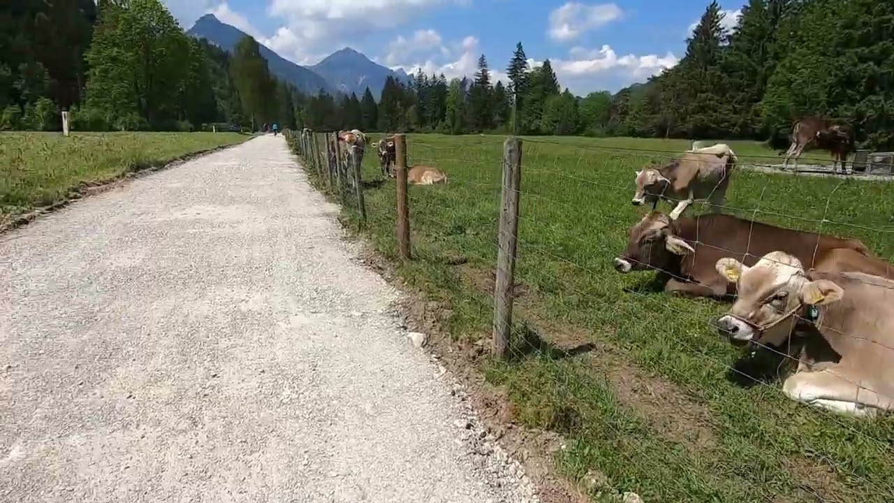 Radtour von Füssen zum Lechau See in Österreich