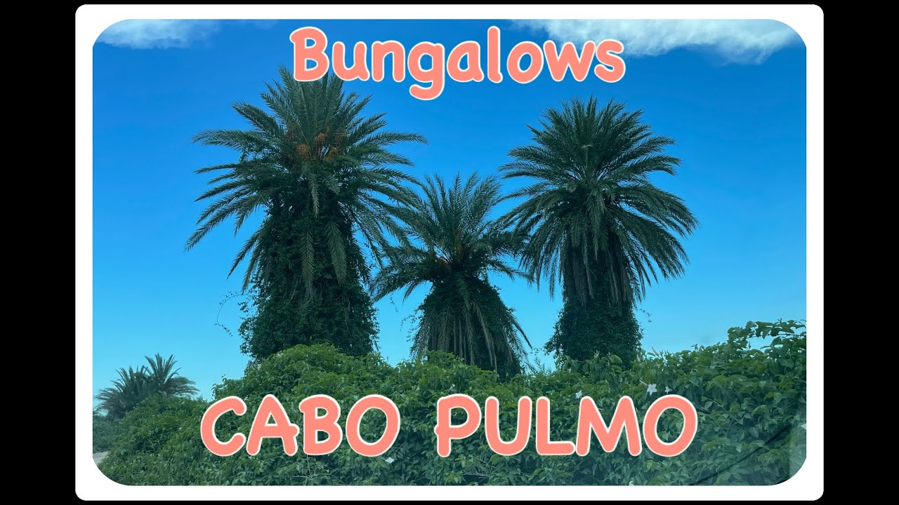 Bungalows Cabo Pulmo