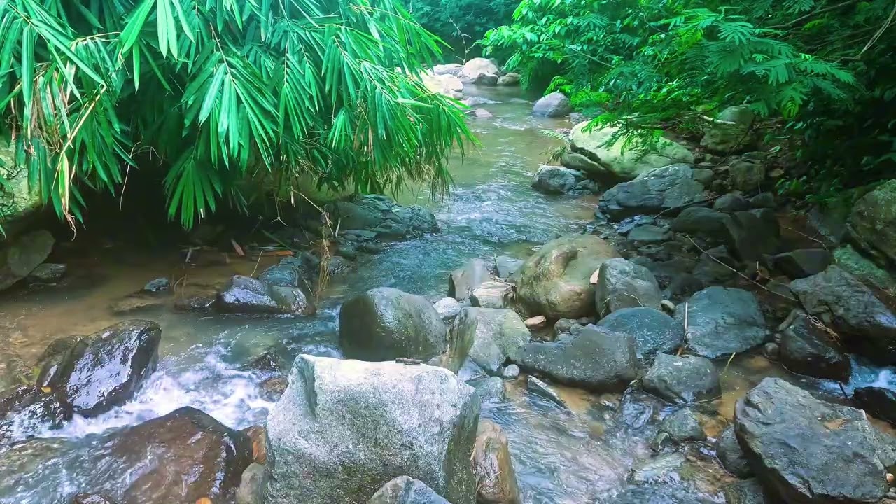 Calm River Flow | Relaxing Water Sounds # 4
