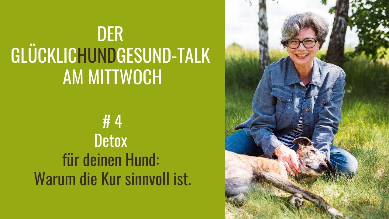 GlücklicHundGesund-Talk #4– Detox für deinen Hund: Warum die Kur sinnvoll ist.