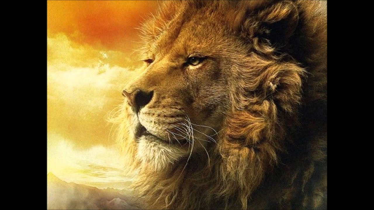 a war in babylon